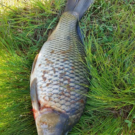 Na Lipne * Cerna v Posumavi